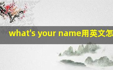 what's your name用英文怎么读